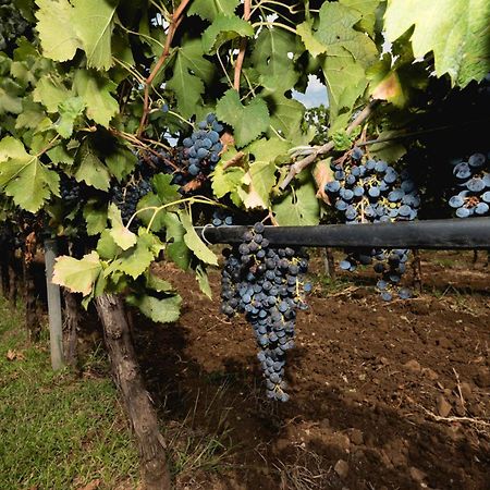 Antico Borgo Molino 7Cento Vicino Ai Giardini Di Ninfa Hotell Cori Eksteriør bilde
